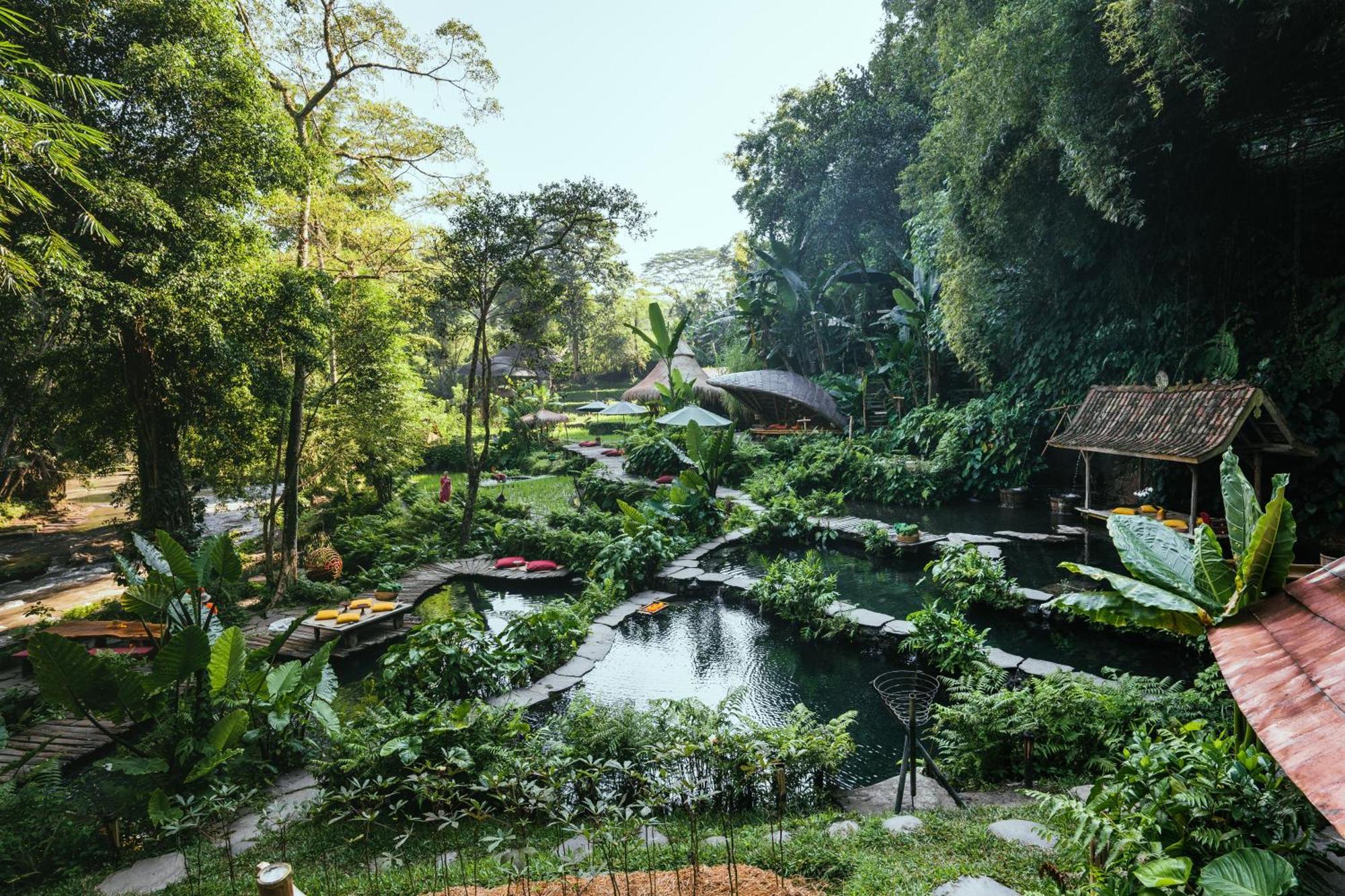 Bambu Indah Resort Убуд Экстерьер фото