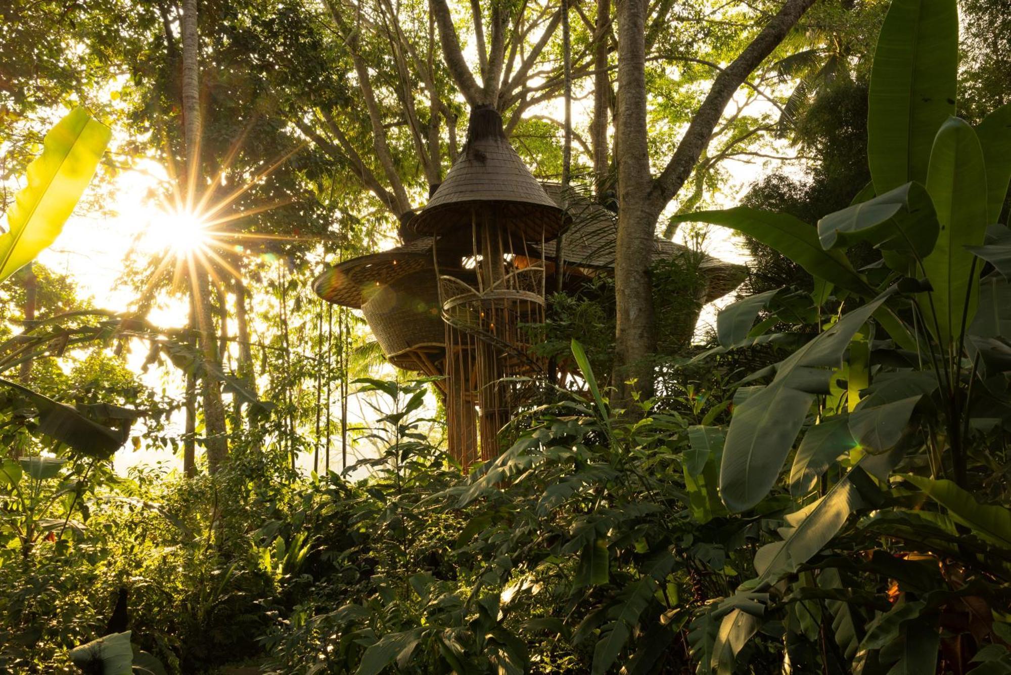 Bambu Indah Resort Убуд Экстерьер фото